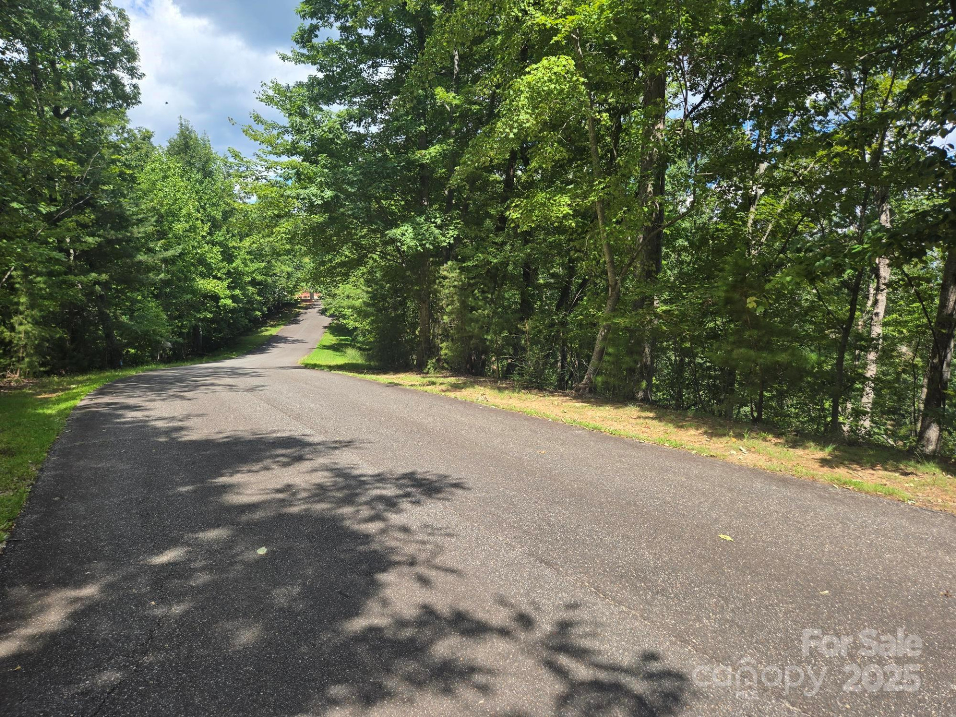 Lot 34 Hawks Nest Trail - Photo 2