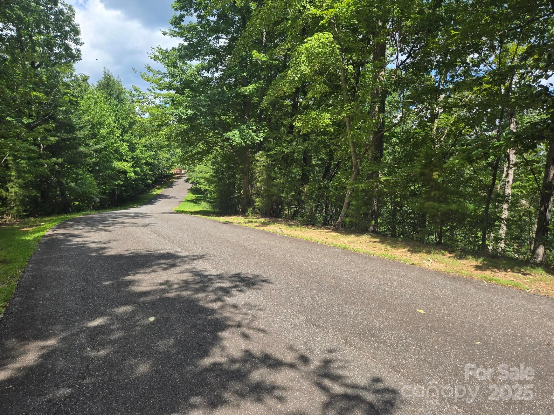 Lot 34 Hawks Nest Trail - Photo 2