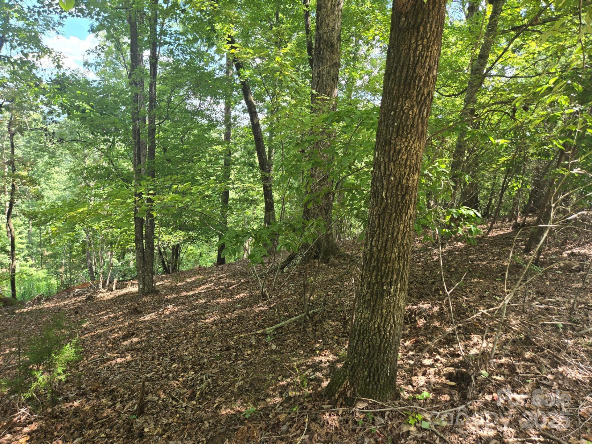 Lot 34 Hawks Nest Trail - Photo 3