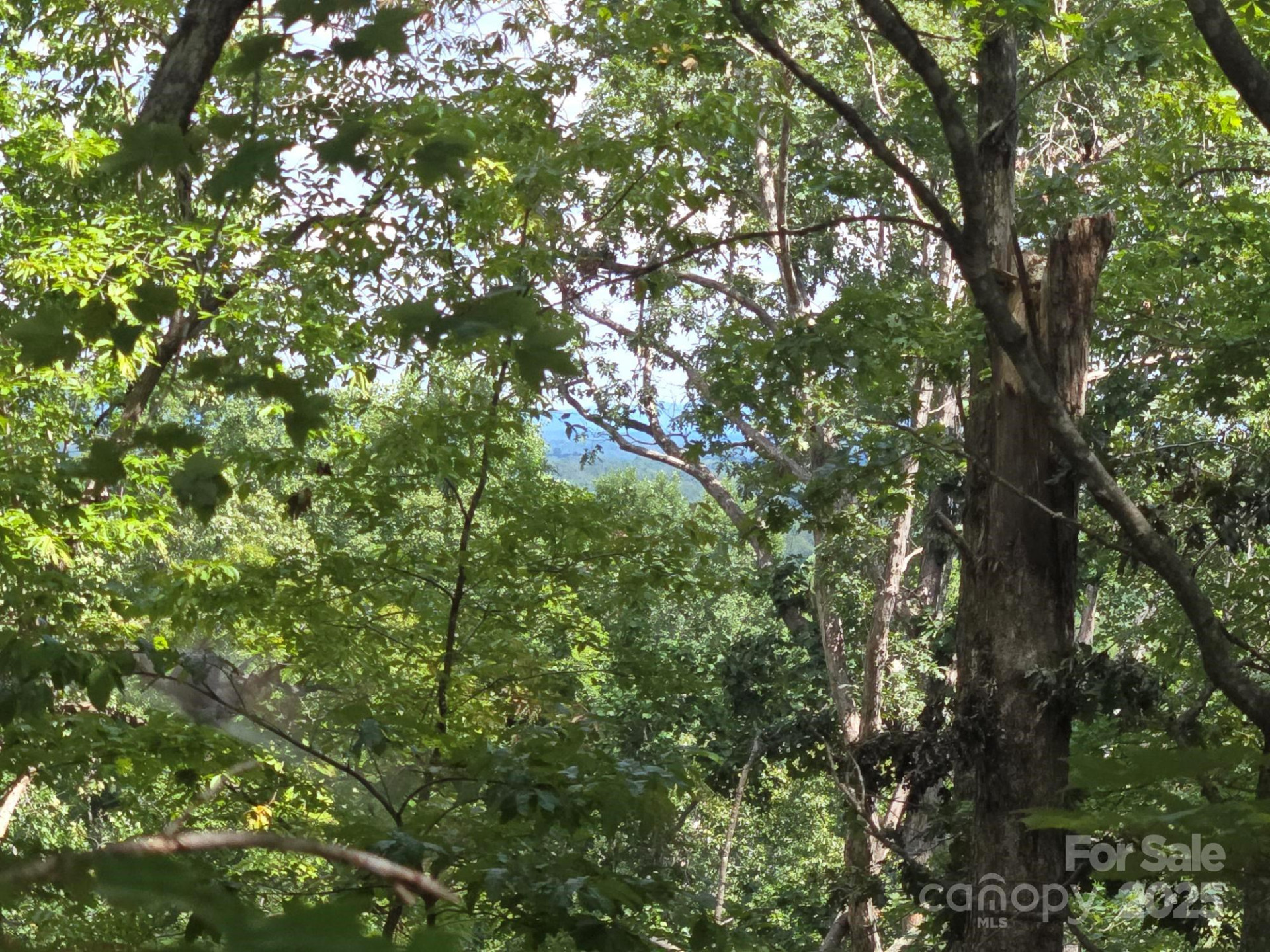 Lot 34 Hawks Nest Trail - Photo 4