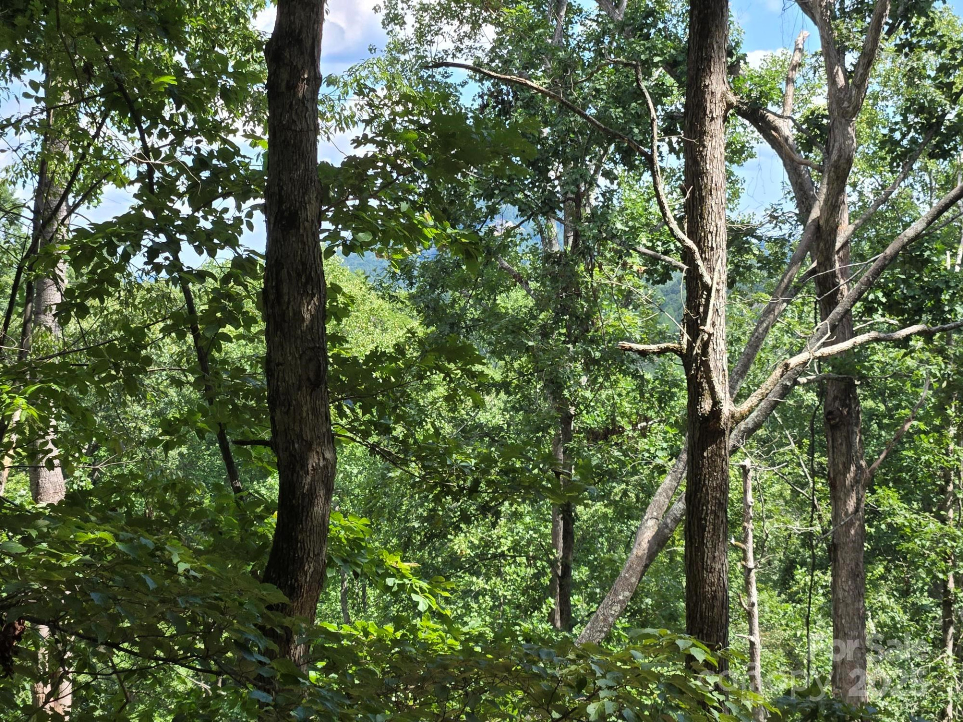 Lot 34 Hawks Nest Trail - Photo 5