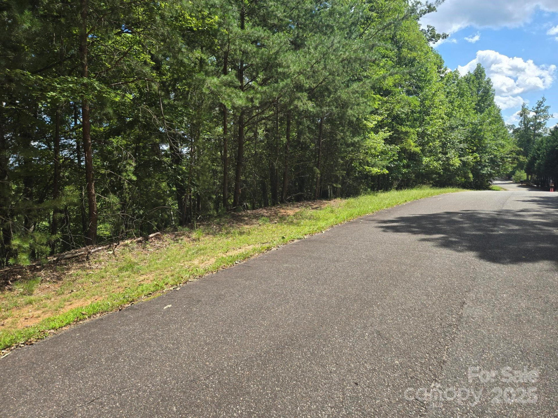 Lot 34 Hawks Nest Trail - Photo 6