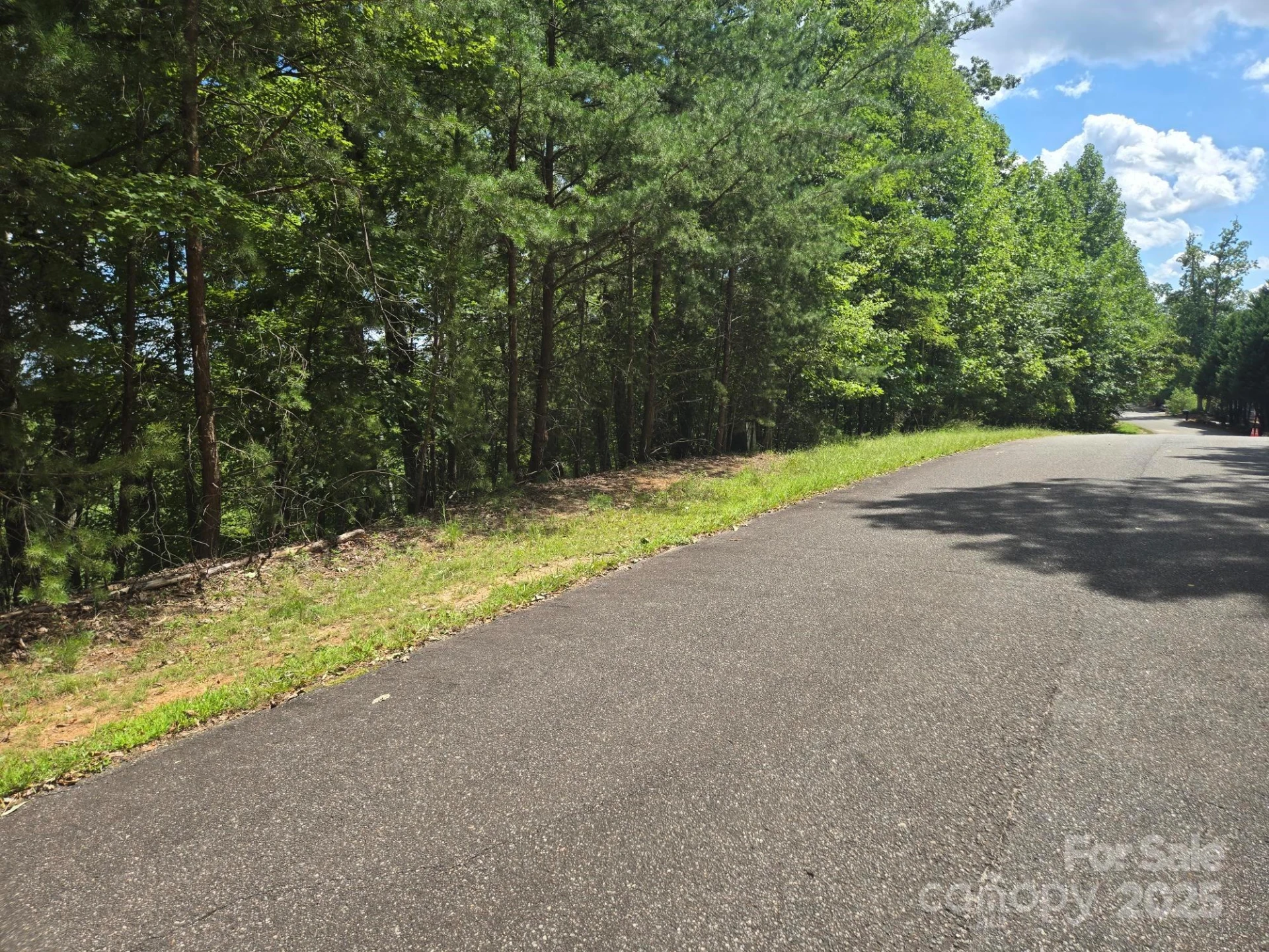 Lot 34 Hawks Nest Trail - Photo 6
