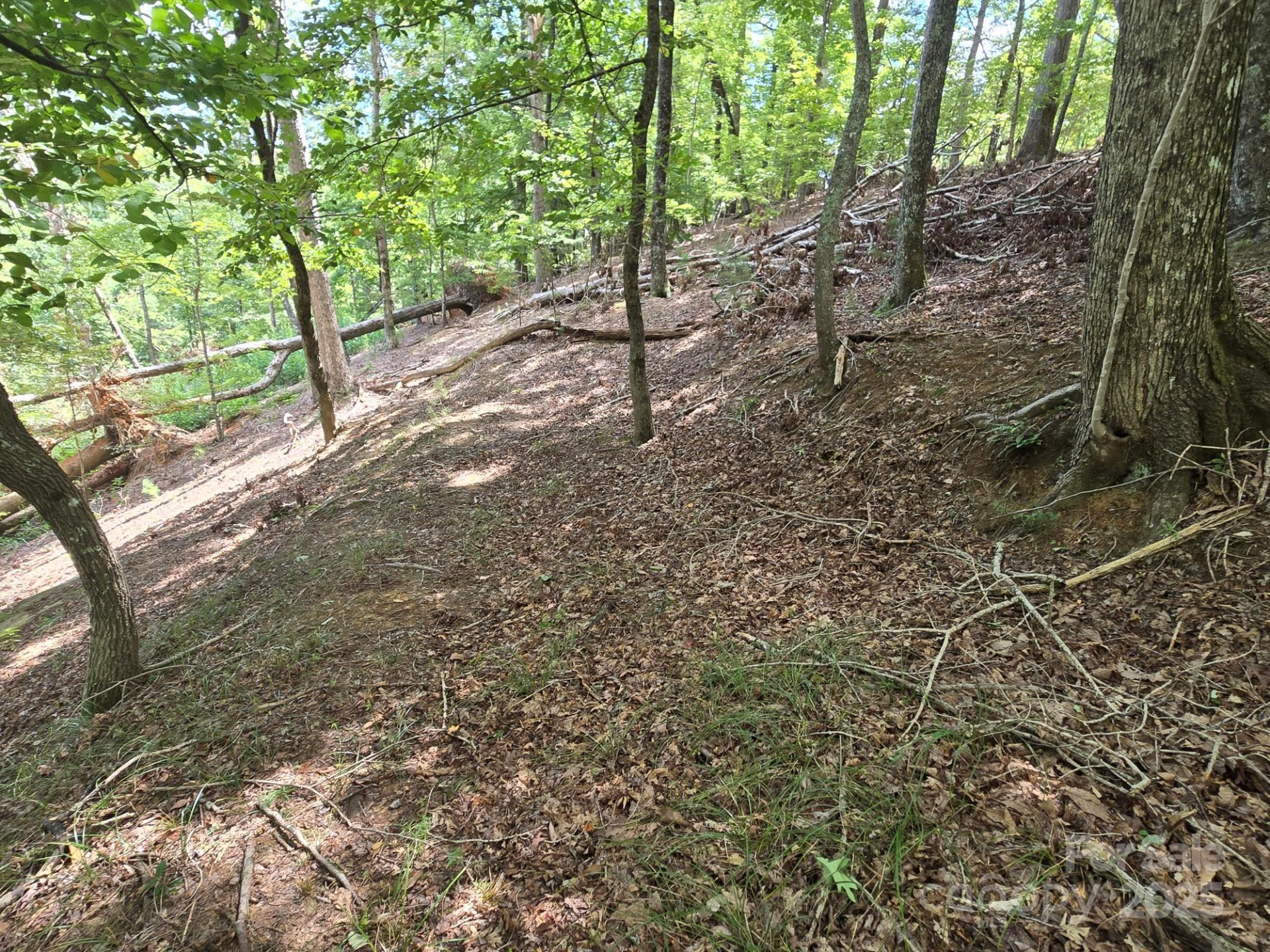 Lot 34 Hawks Nest Trail - Photo 7