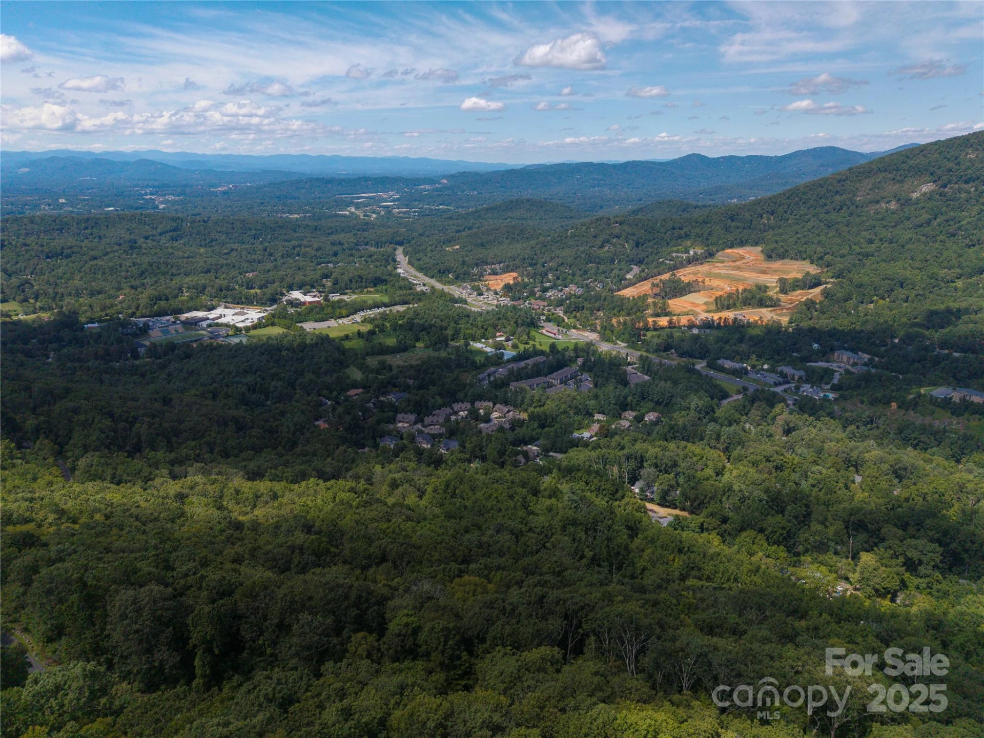 52 Castanea Mountain Drive