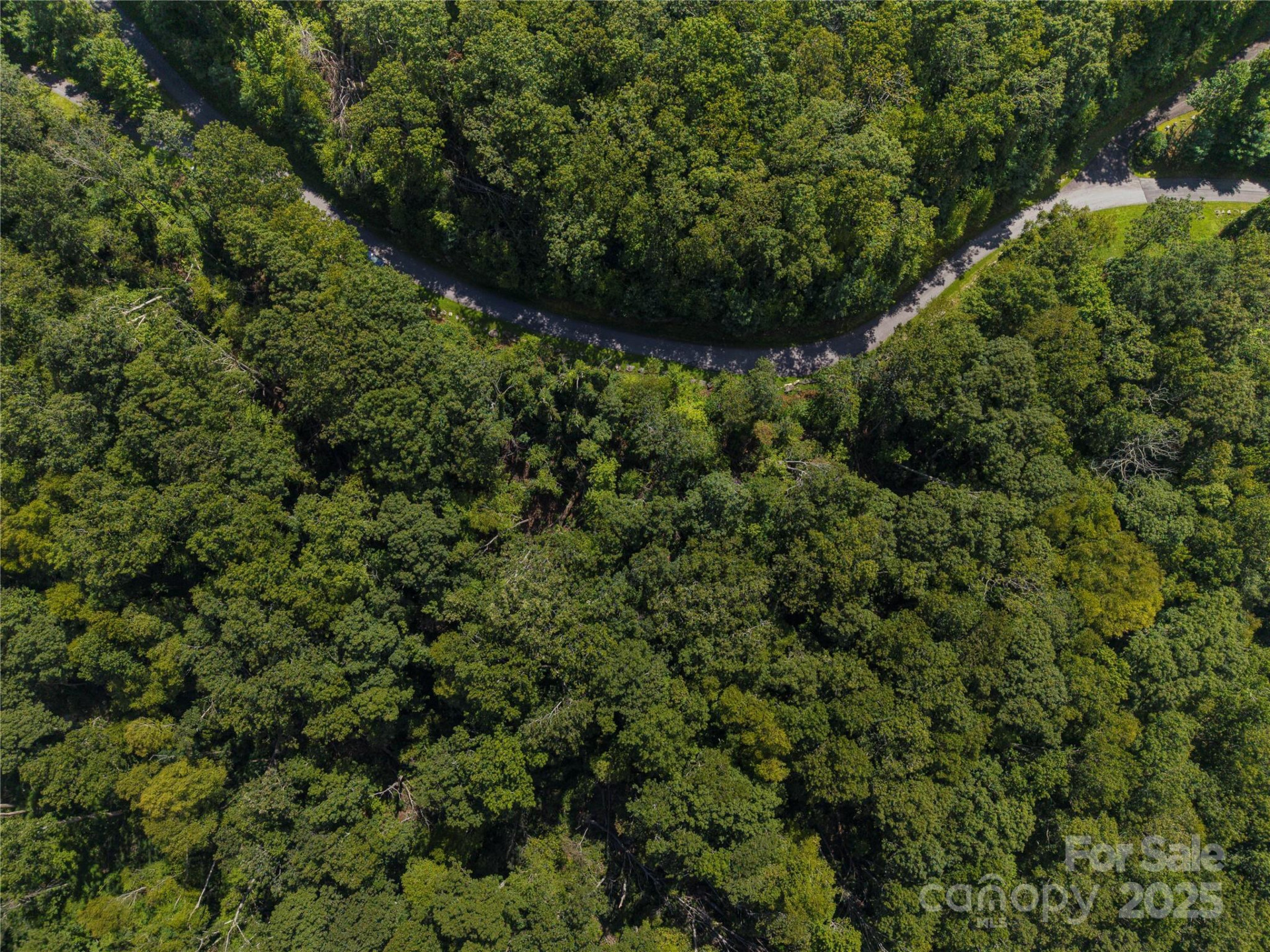 52 Castanea Mountain Drive - Photo 2