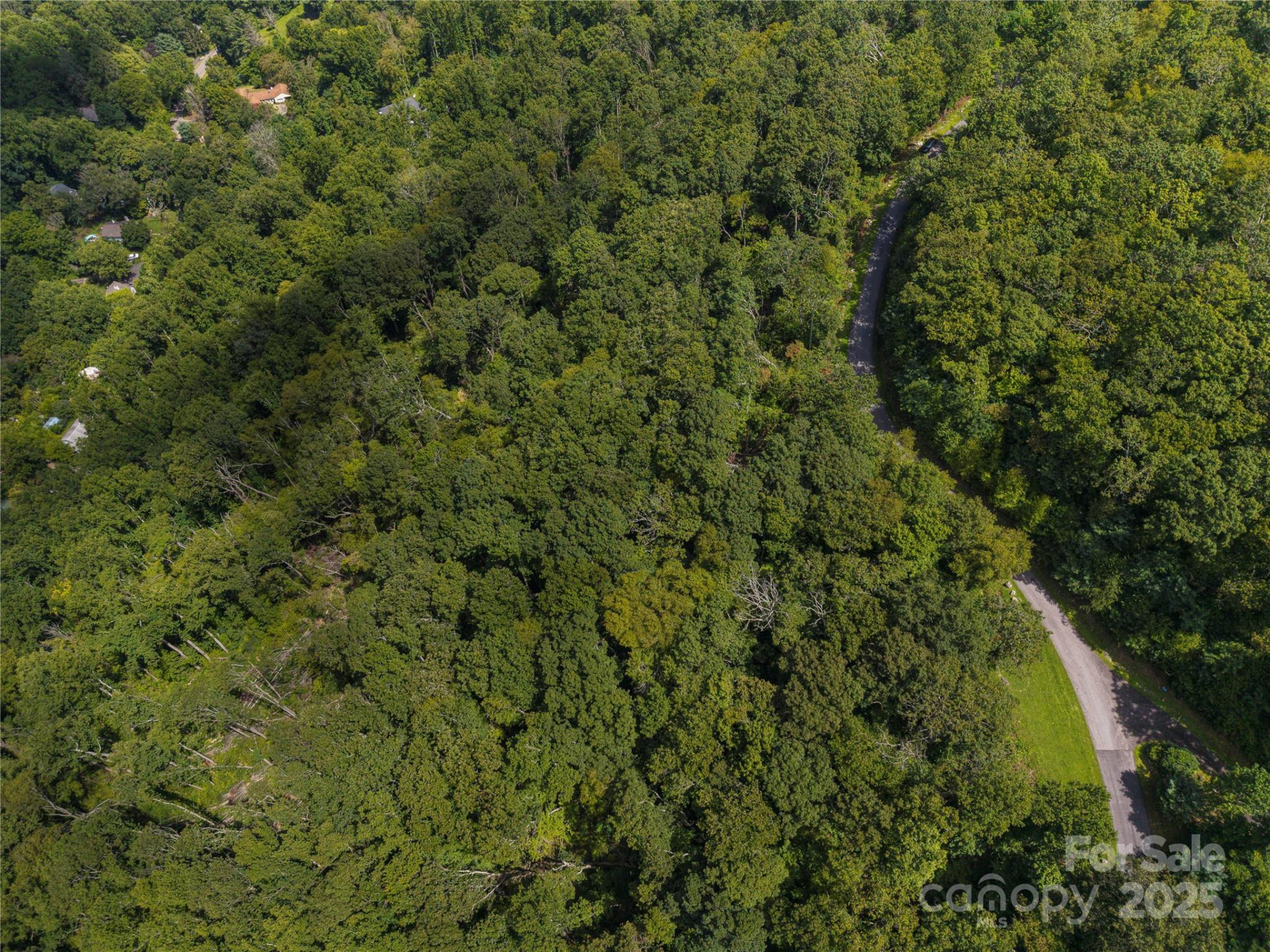 52 Castanea Mountain Drive - Photo 4