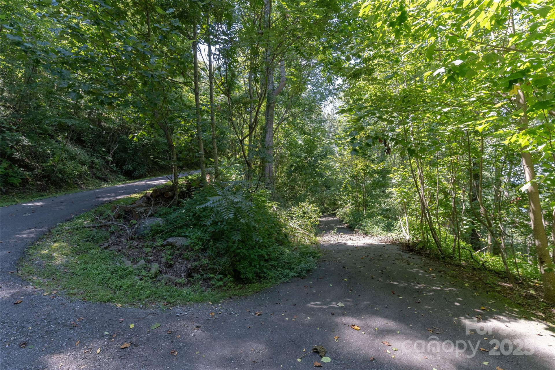 52 Castanea Mountain Drive - Photo 6