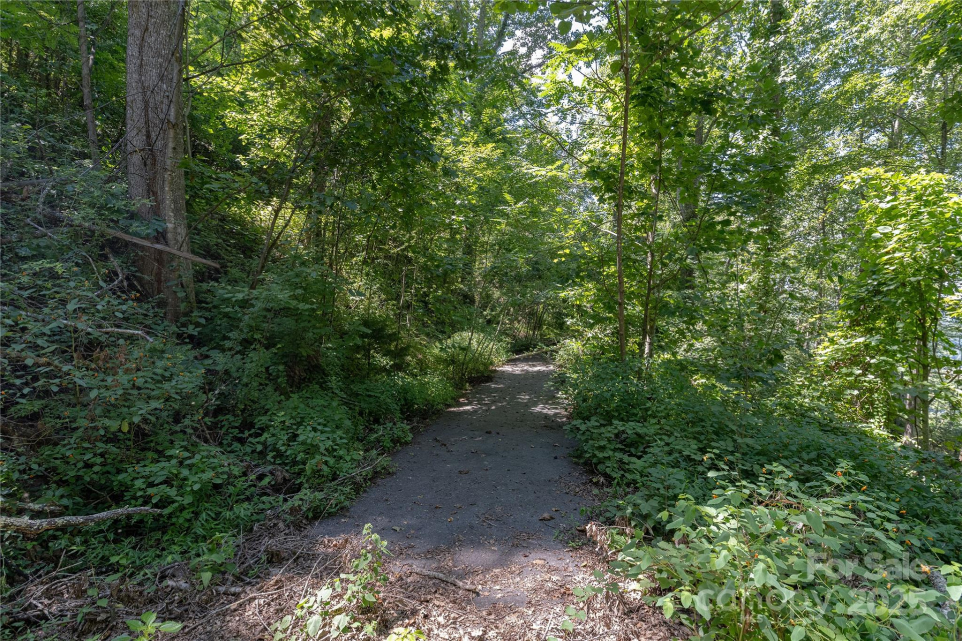 52 Castanea Mountain Drive - Photo 7