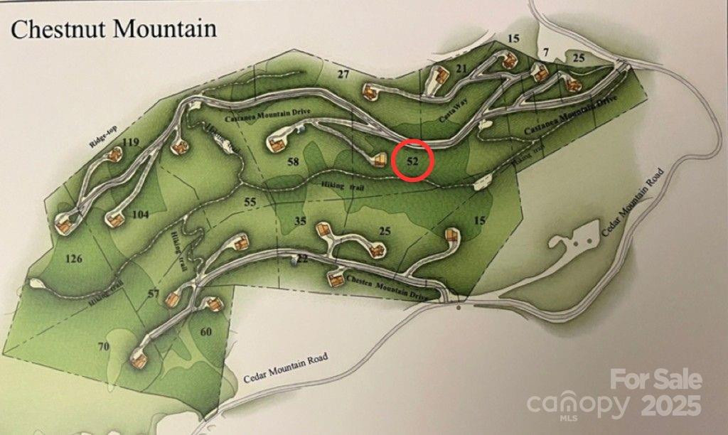 52 Castanea Mountain Drive - Photo 8