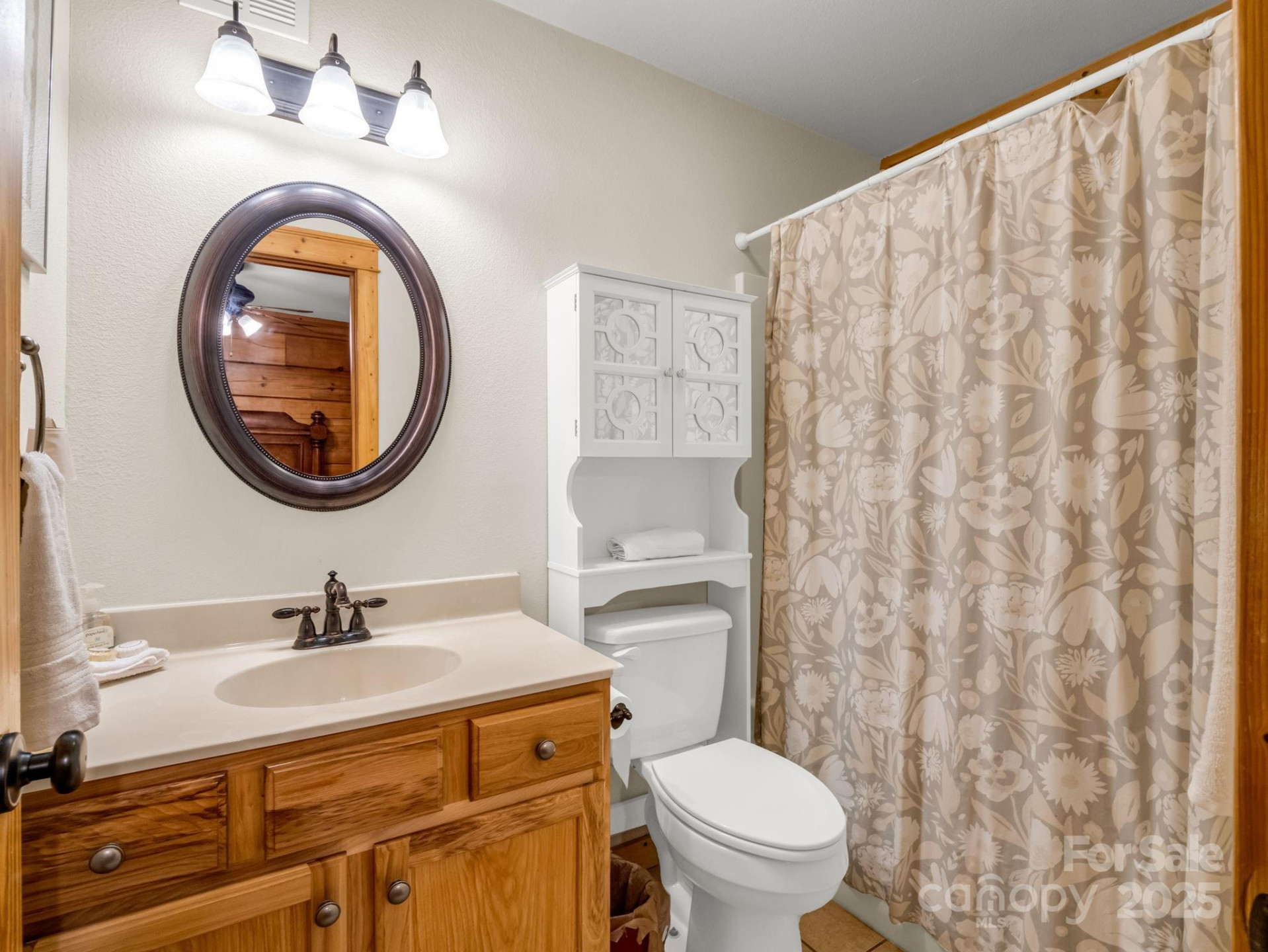 161 Scenic Wolf Drive - Photo 13