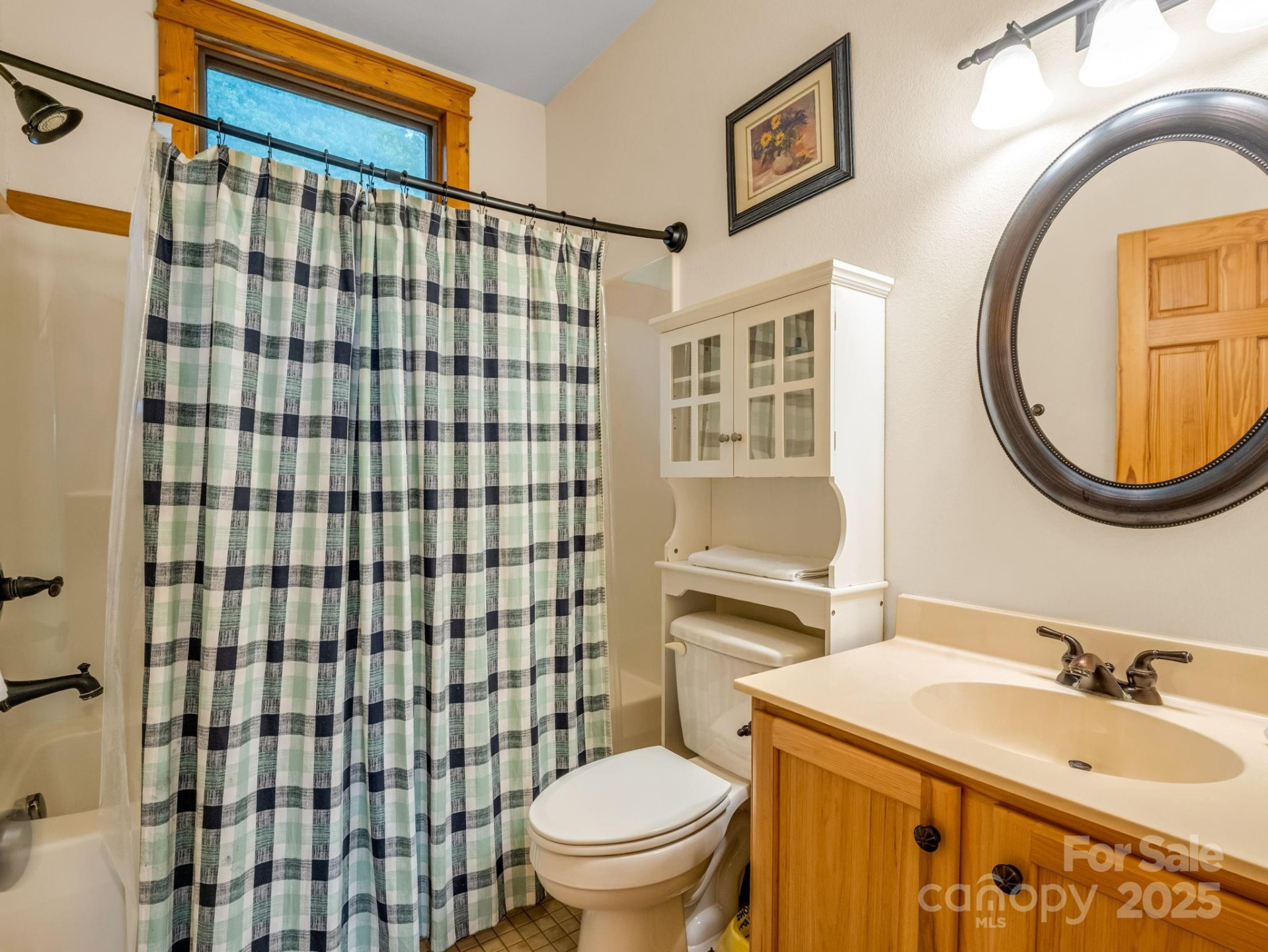 161 Scenic Wolf Drive - Photo 20