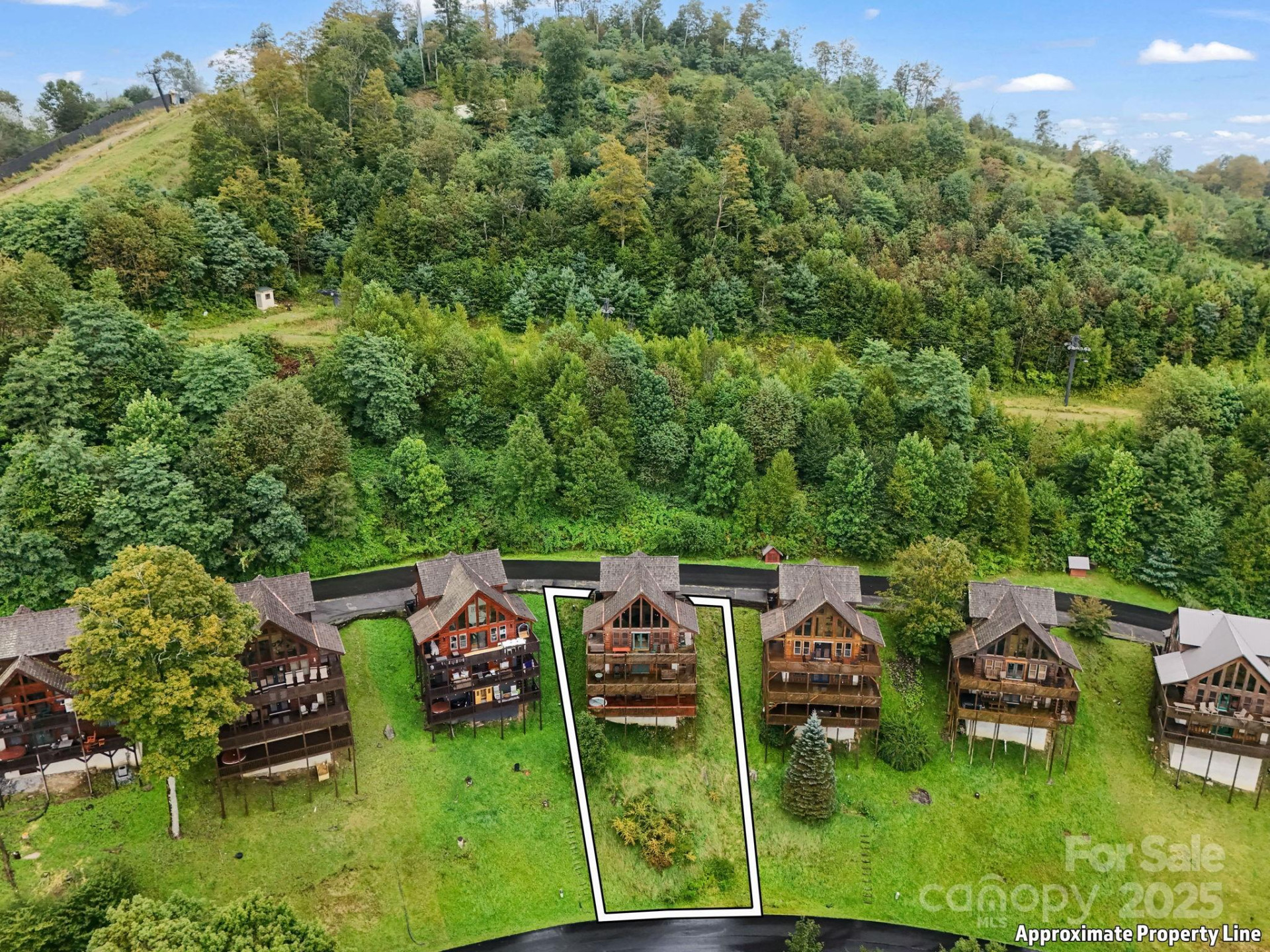 161 Scenic Wolf Drive - Photo 37