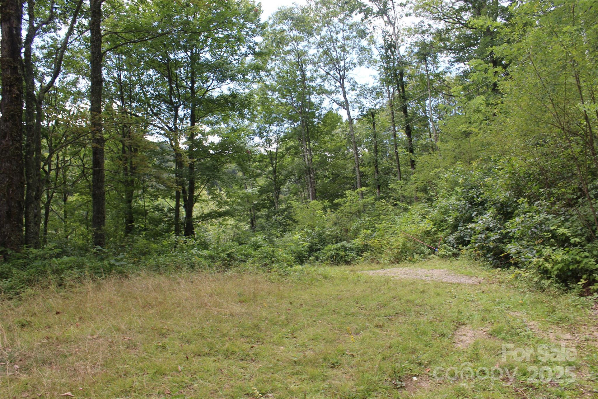 920 Autumn Drive - Photo 2