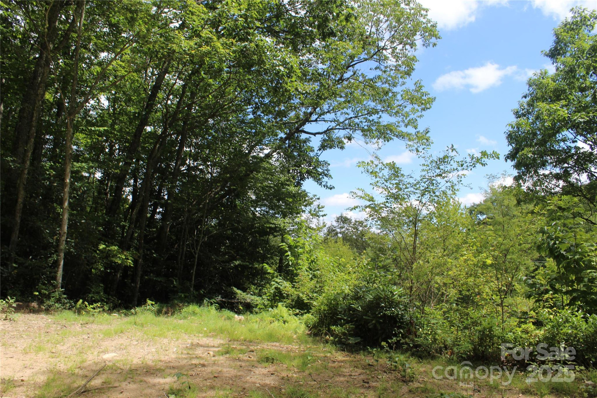 920 Autumn Drive - Photo 11