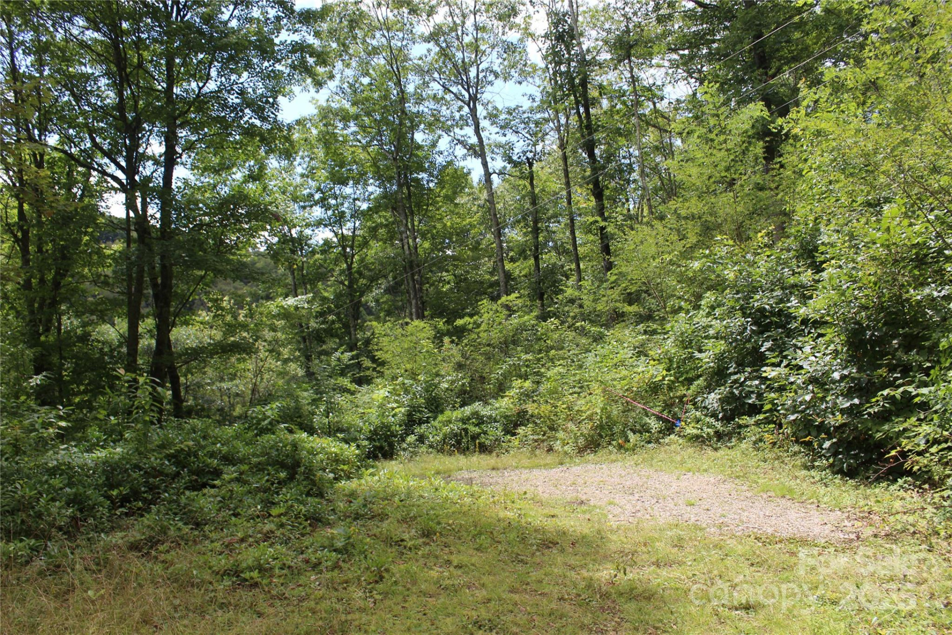 920 Autumn Drive - Photo 12