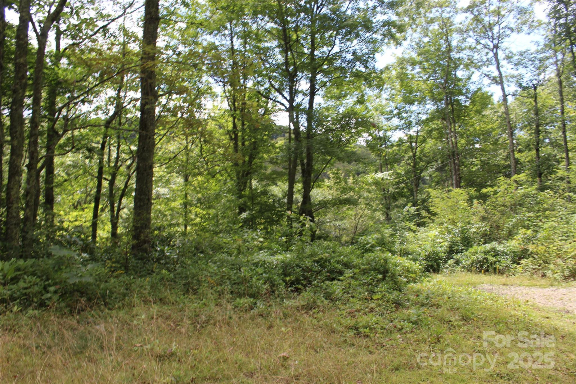 920 Autumn Drive - Photo 13