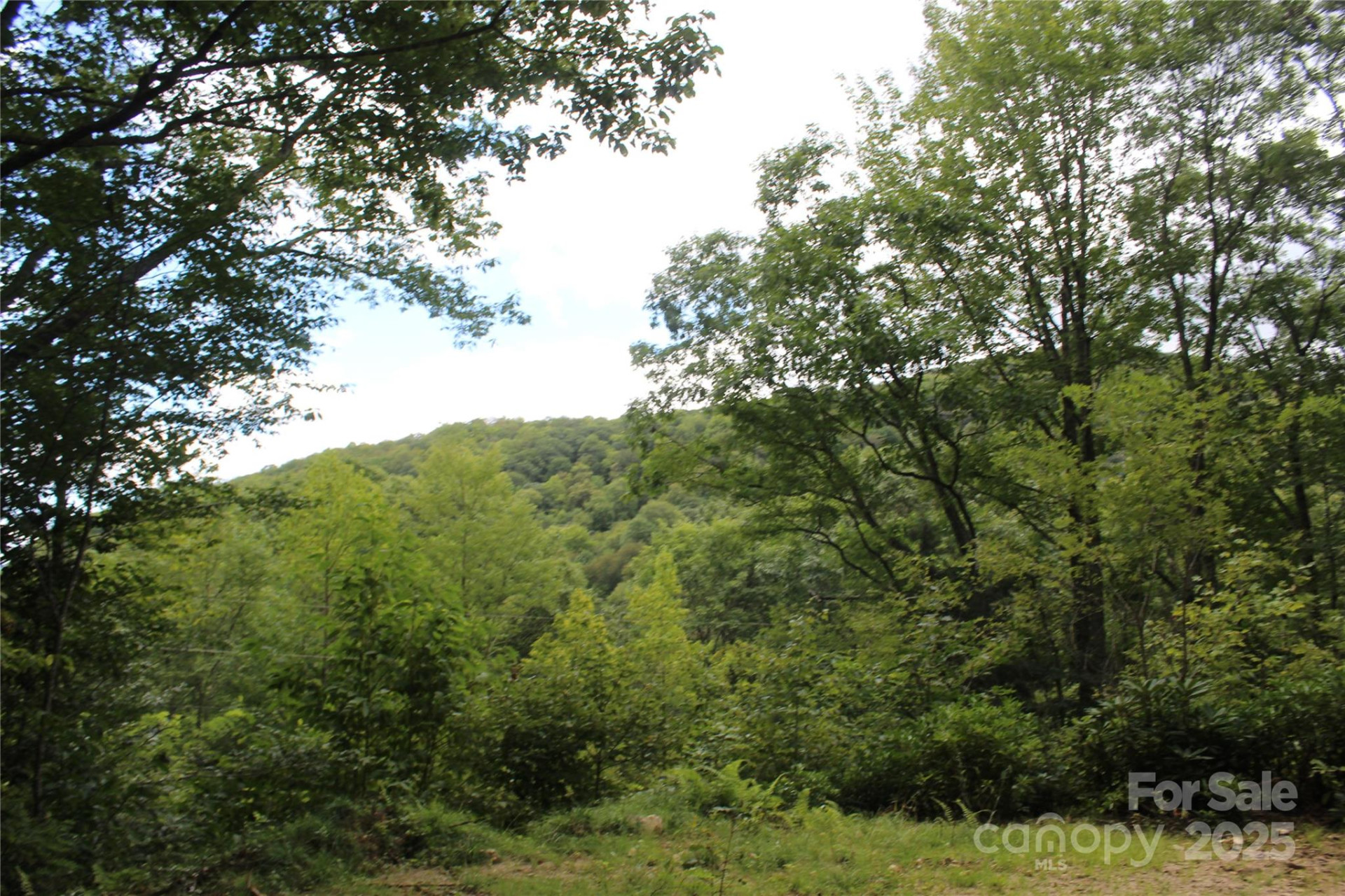 920 Autumn Drive - Photo 15