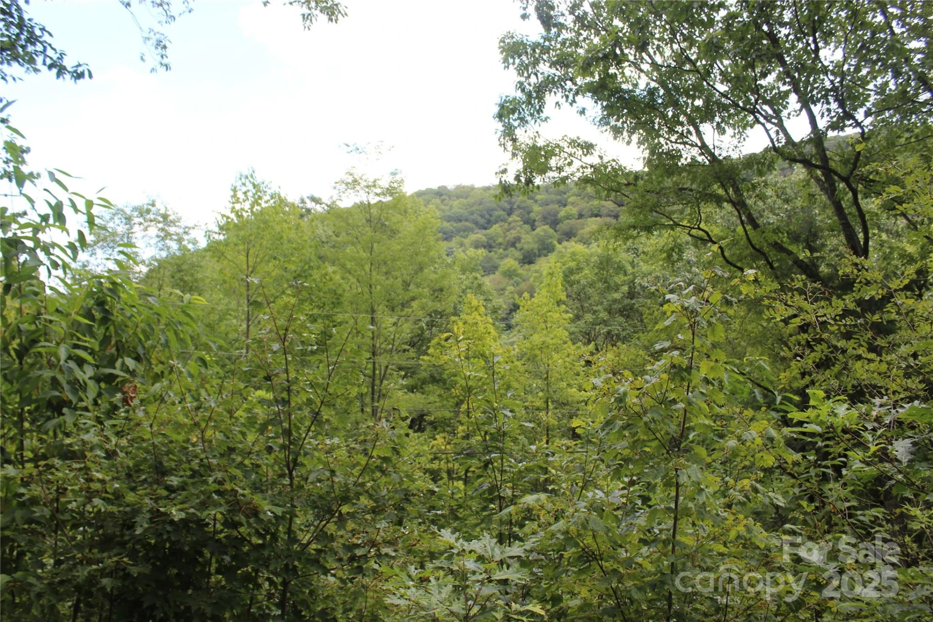 920 Autumn Drive - Photo 16