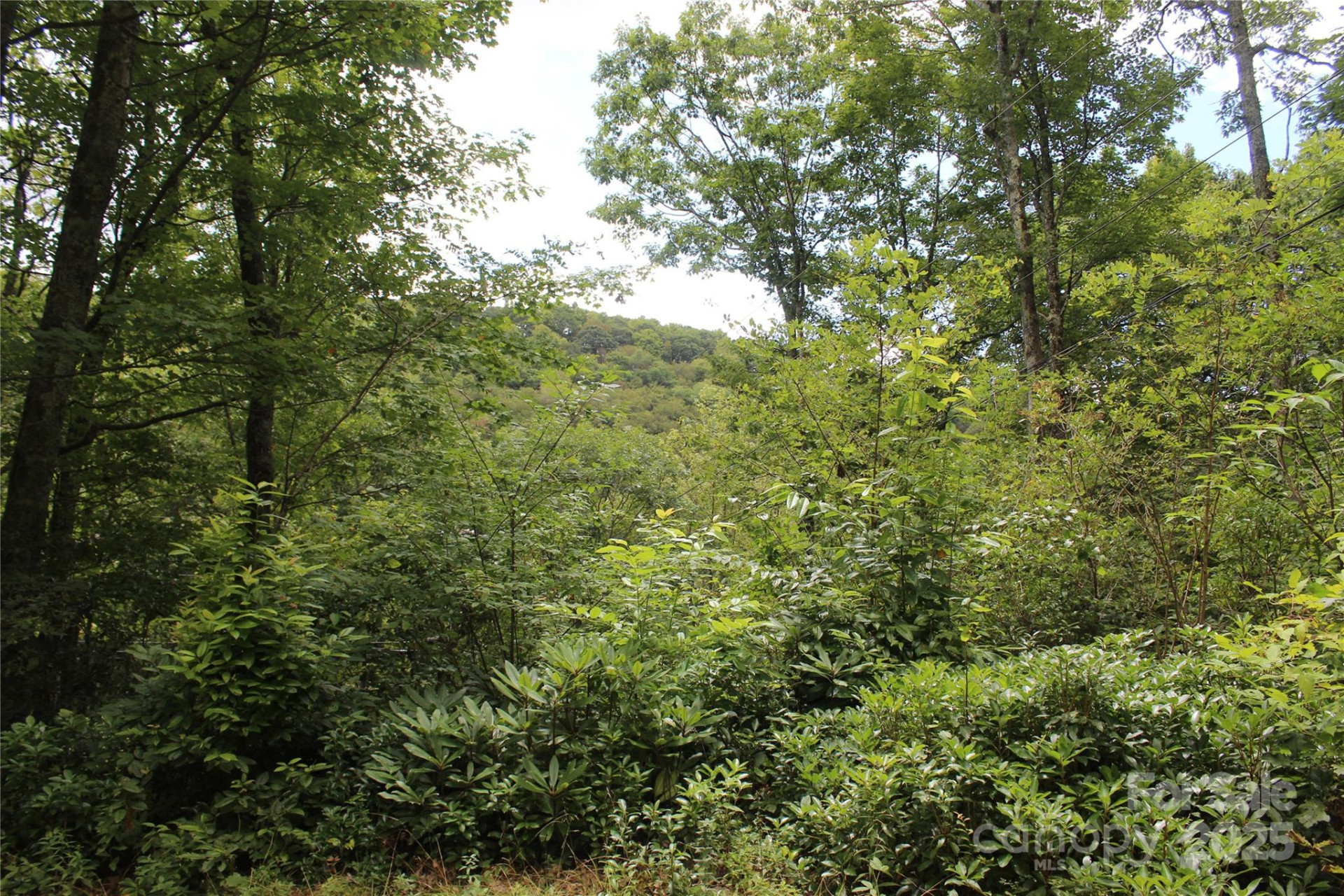 920 Autumn Drive - Photo 18