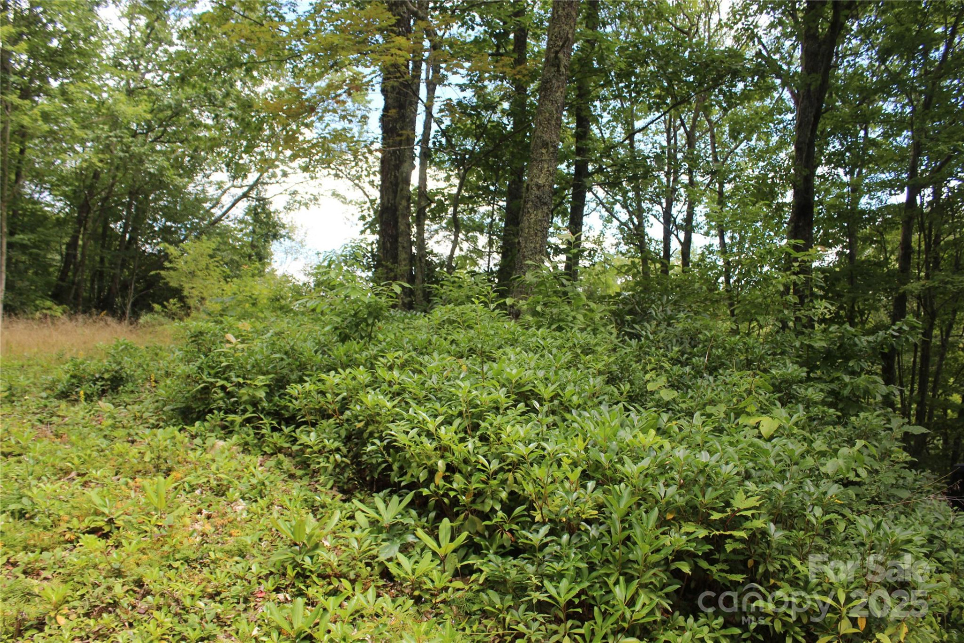 920 Autumn Drive - Photo 19