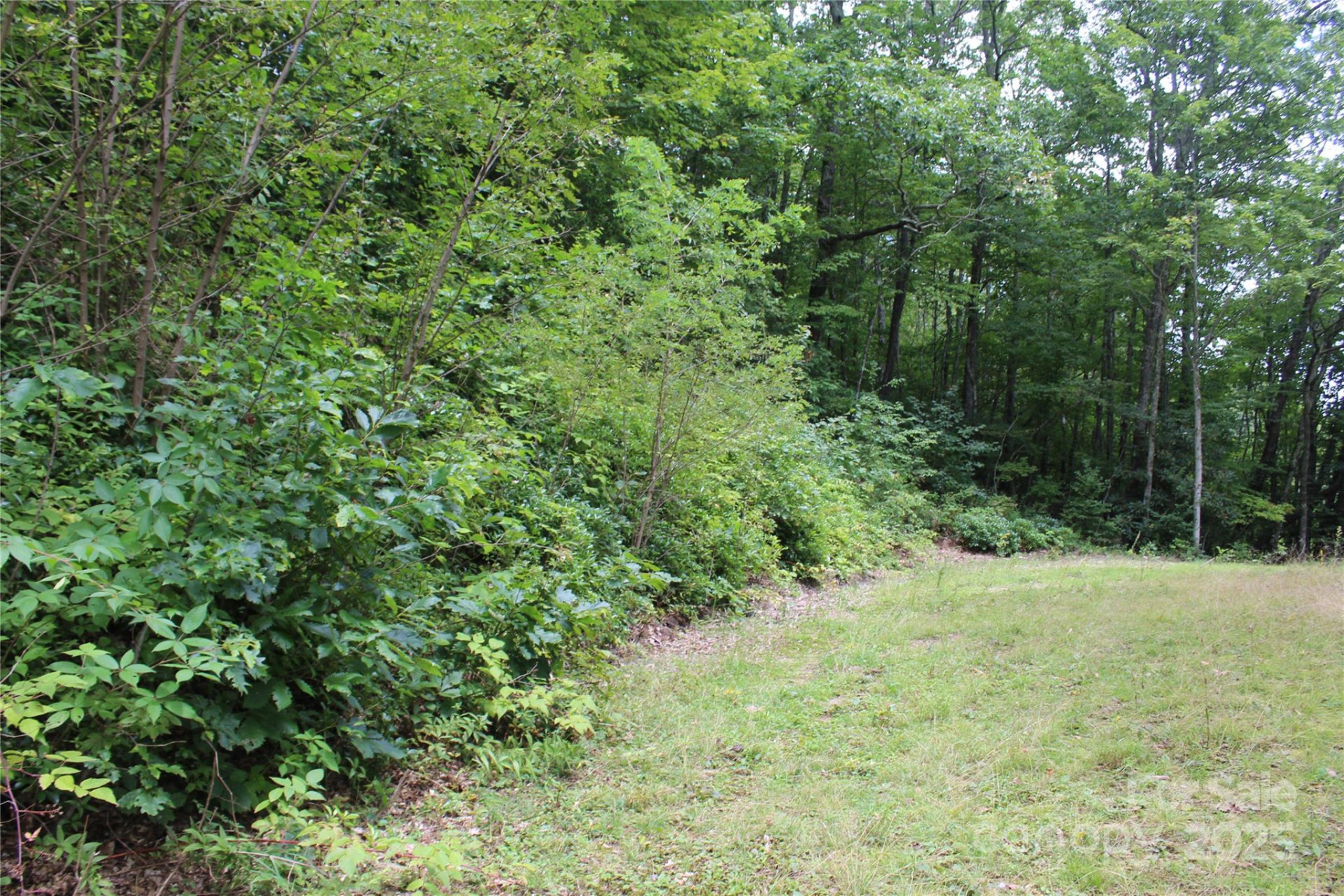 920 Autumn Drive - Photo 3