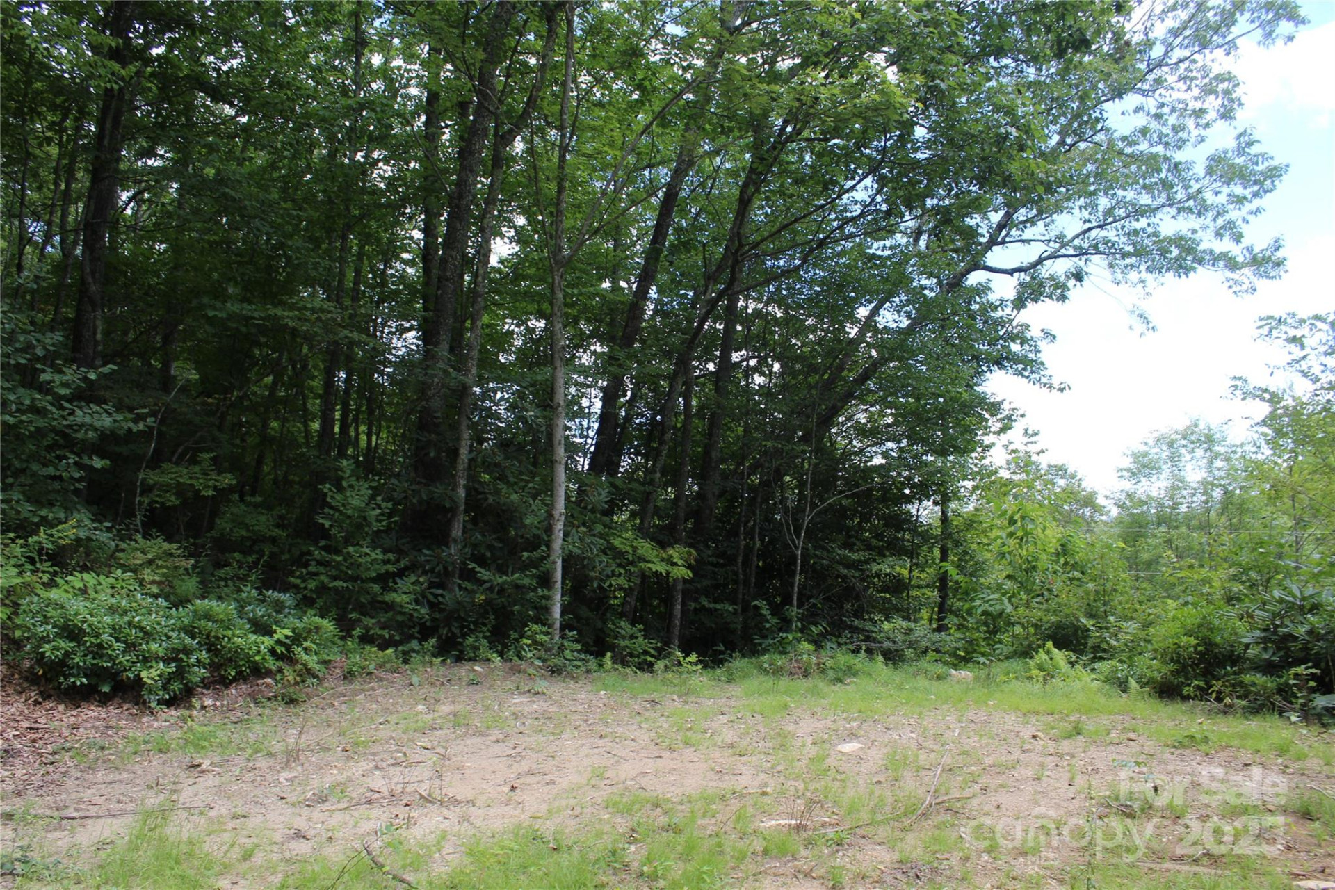 920 Autumn Drive - Photo 4