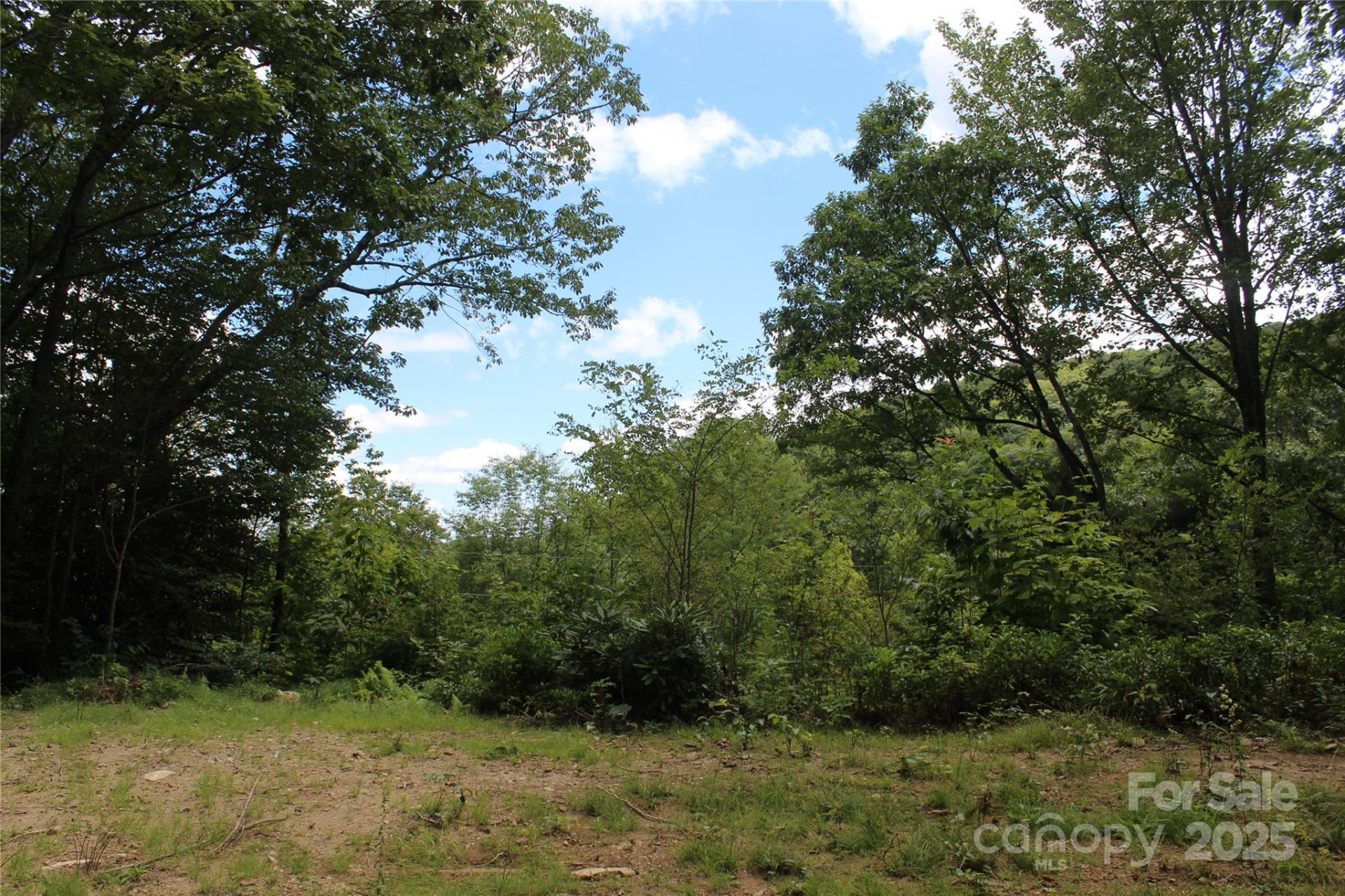 920 Autumn Drive - Photo 5