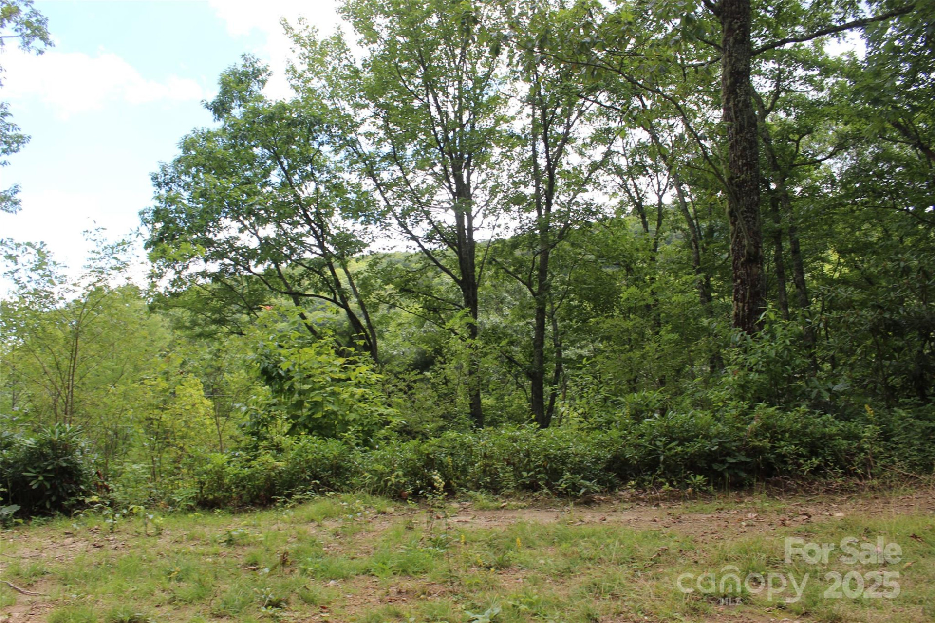 920 Autumn Drive - Photo 6