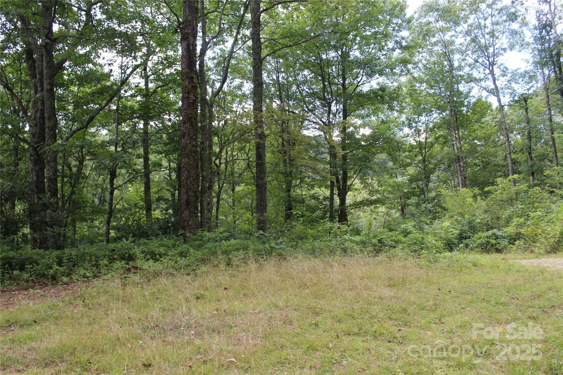 920 Autumn Drive - Photo 7