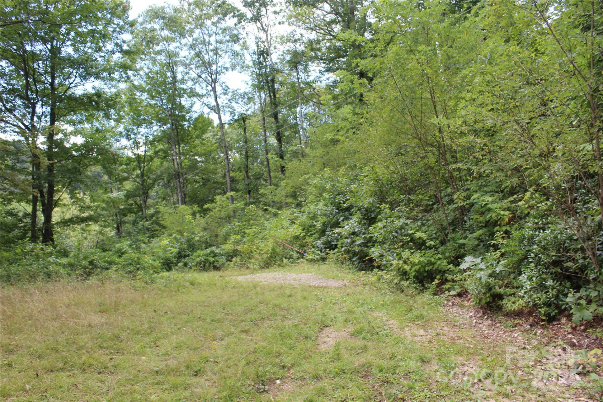 920 Autumn Drive - Photo 8