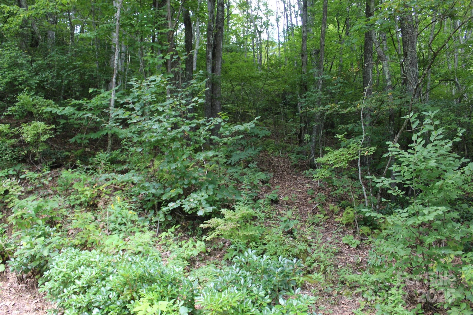 920 Autumn Drive - Photo 10