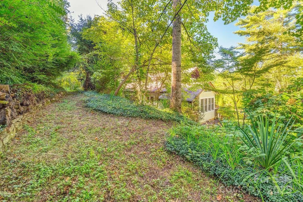 54 Spooks Branch Road - Photo 40