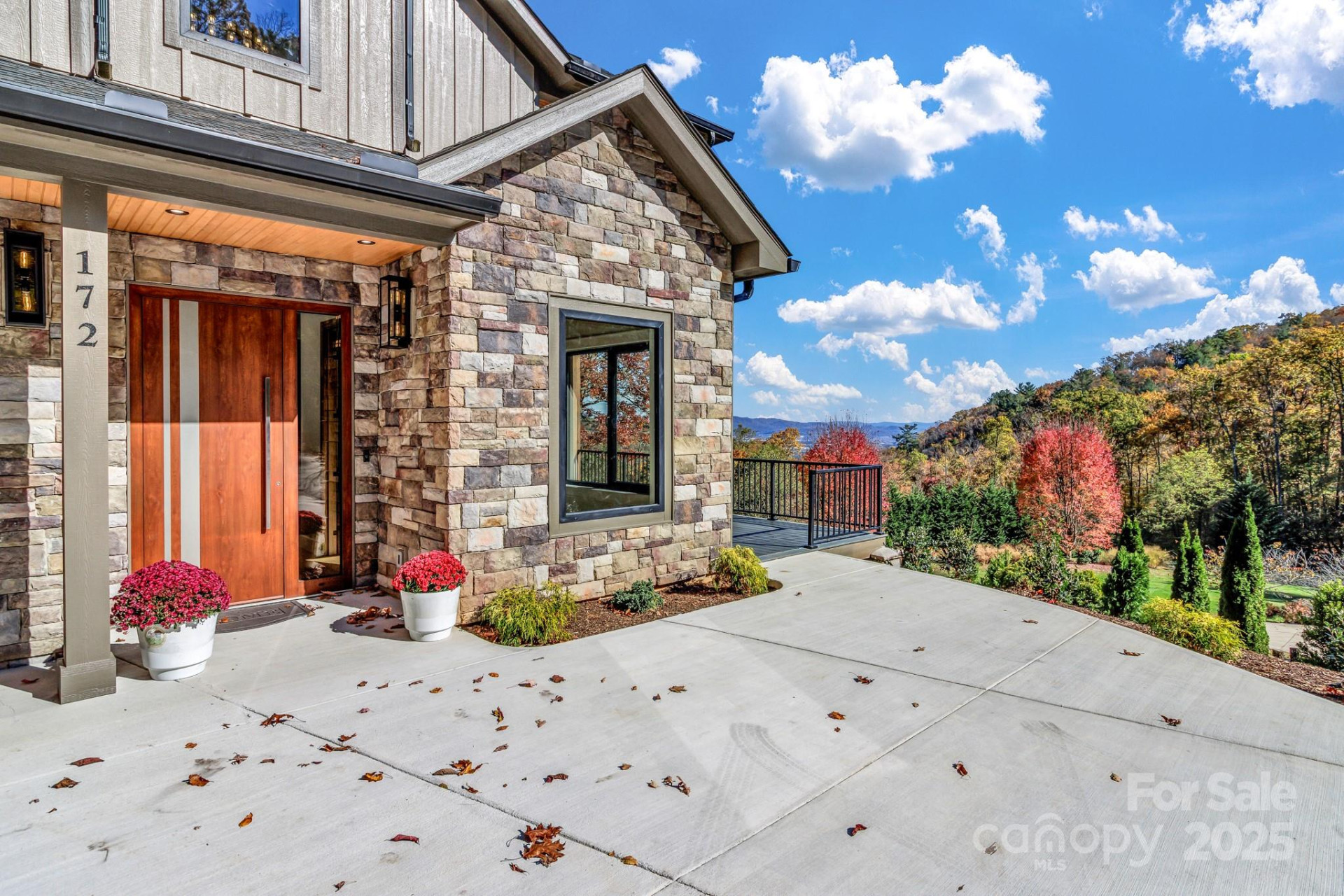 172 Pisgah Forest Trail - Photo 2