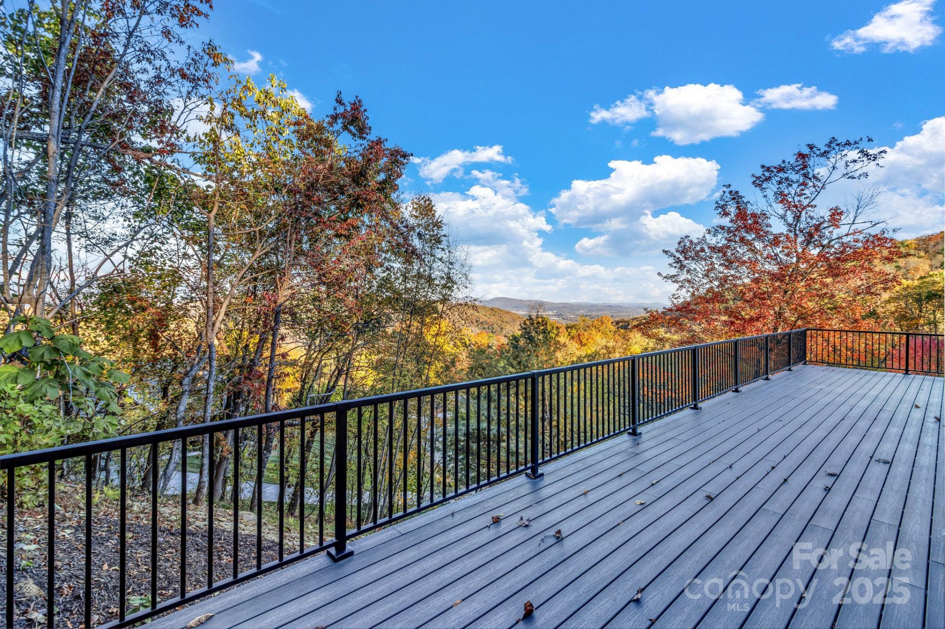 172 Pisgah Forest Trail - Photo 32