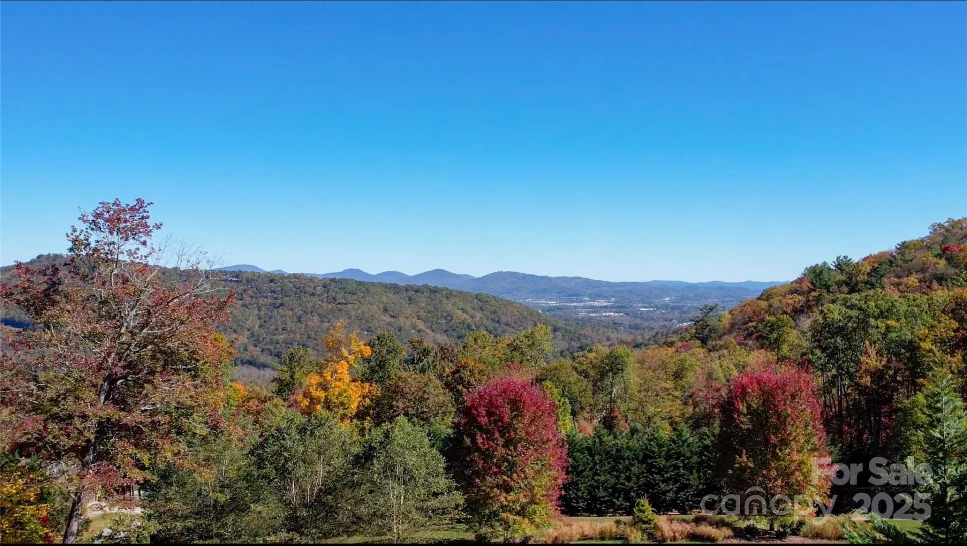 172 Pisgah Forest Trail - Photo 5