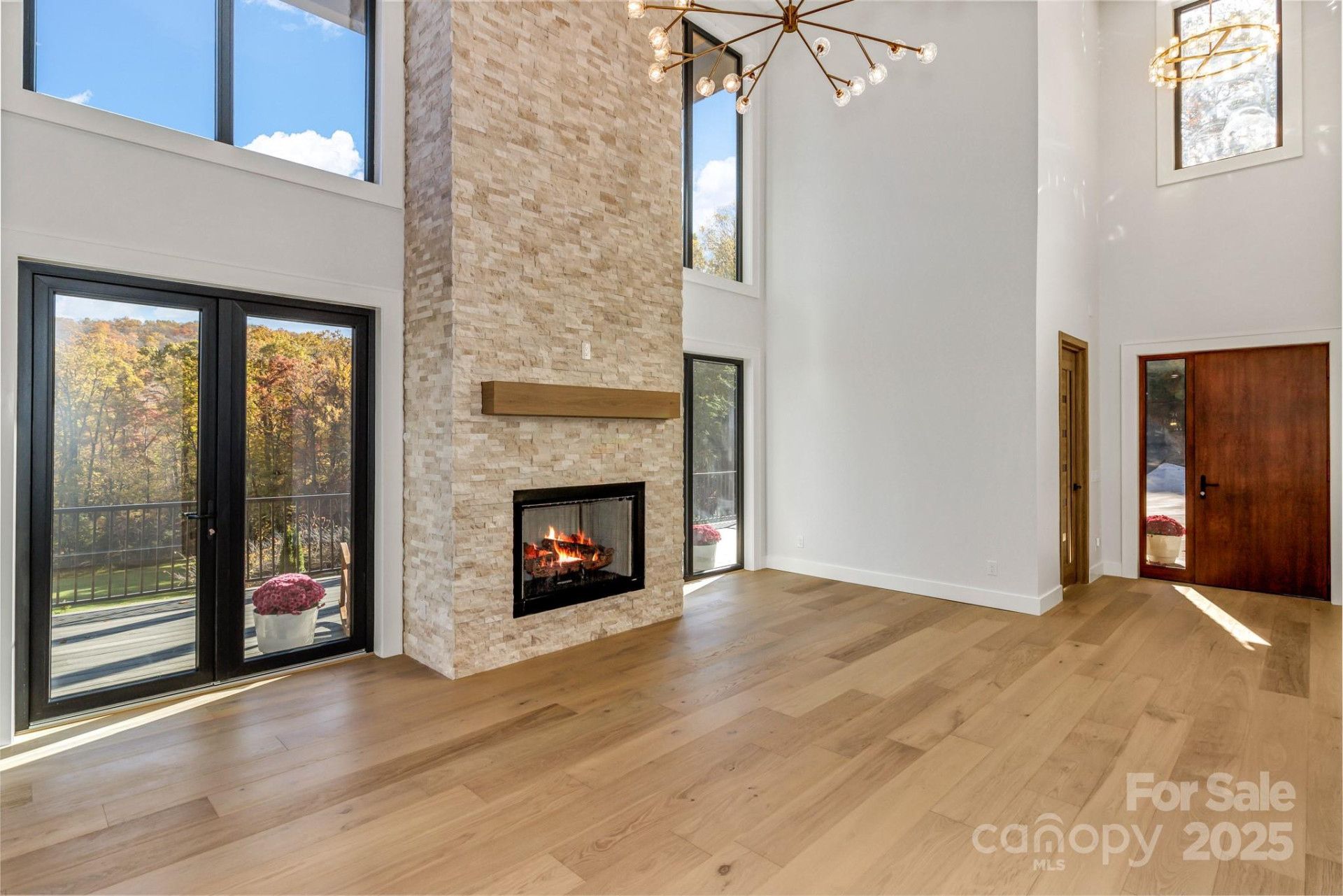 172 Pisgah Forest Trail - Photo 7