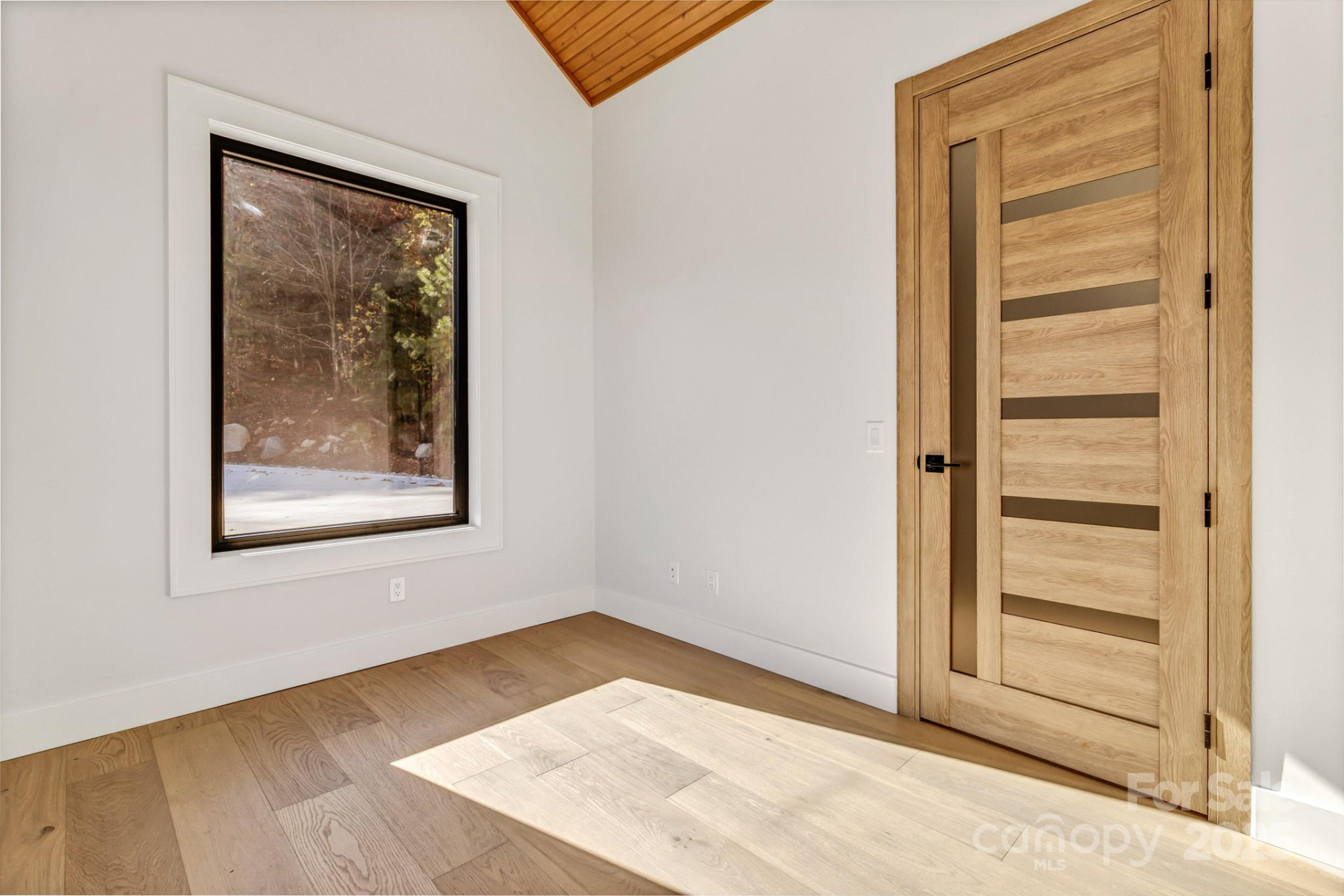 172 Pisgah Forest Trail - Photo 9