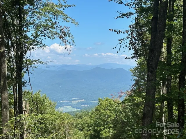 00 Falls View Drive, Bryson City, NC, 28713