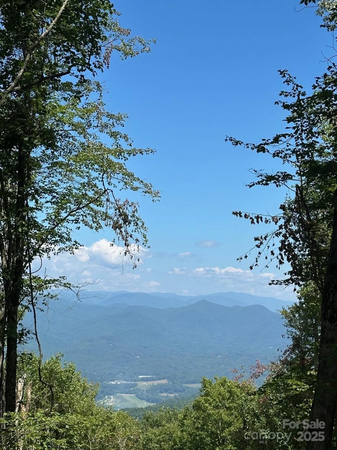 00 Falls View Drive #70 - Photo 2