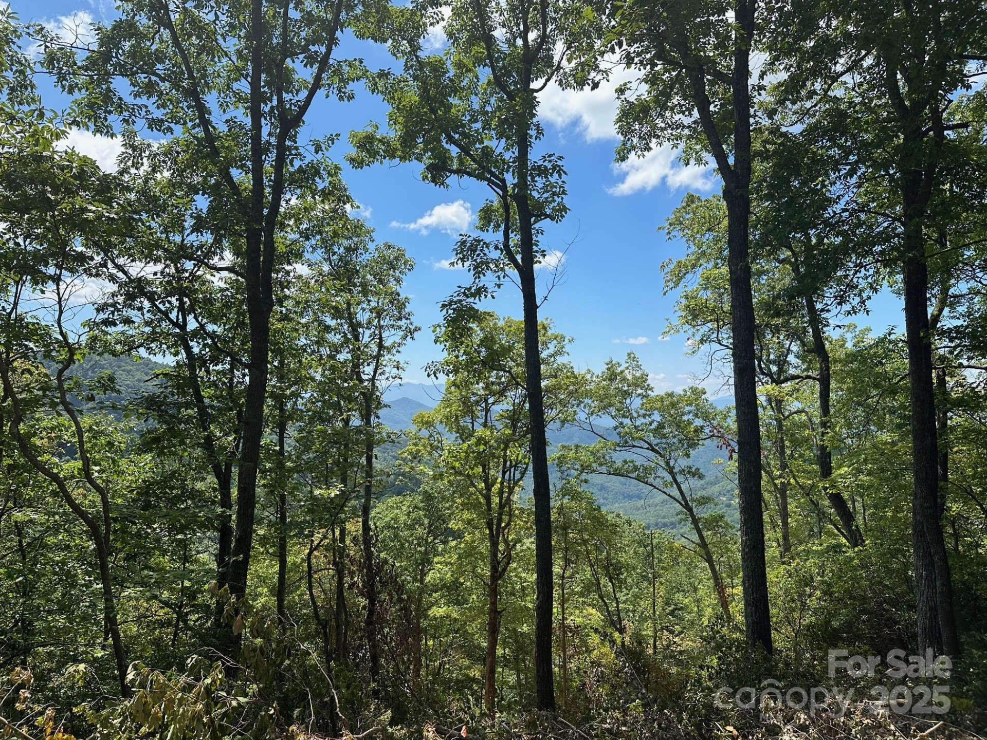 00 Falls View Drive #70 - Photo 3