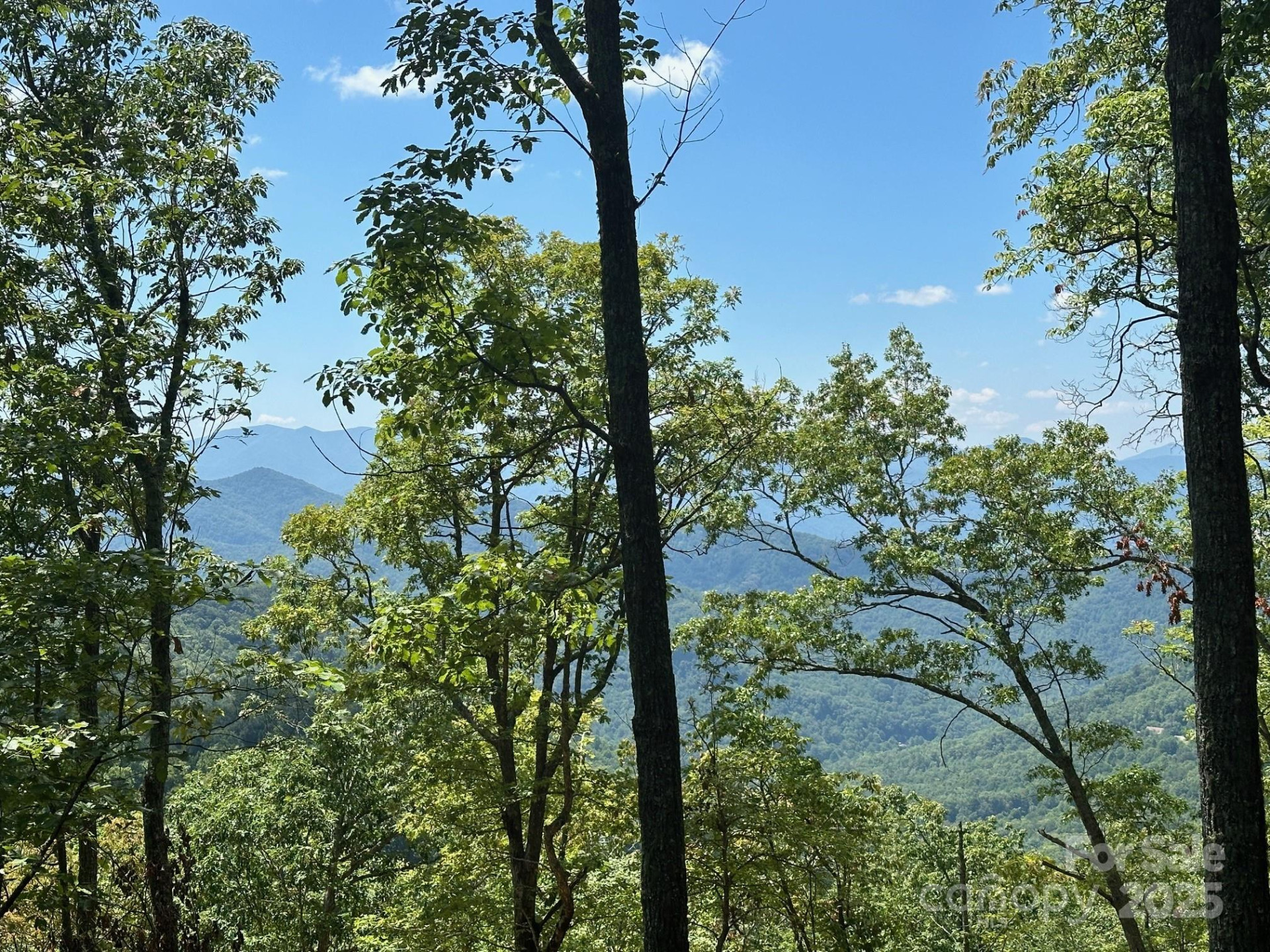 00 Falls View Drive #70 - Photo 4