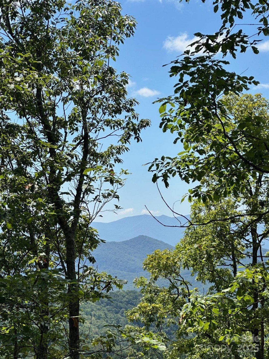 00 Falls View Drive #70 - Photo 5