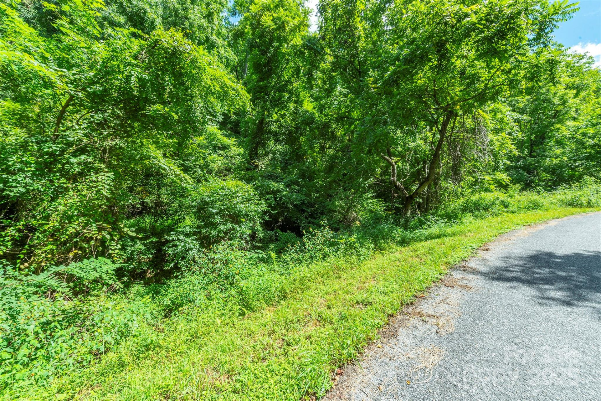 1559 Seven Glens Drive #165 - Photo 12