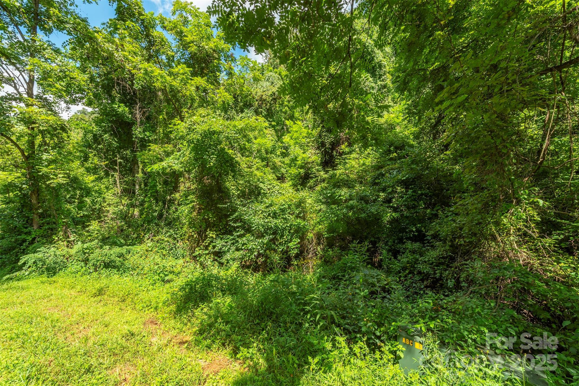 1559 Seven Glens Drive #165 - Photo 13