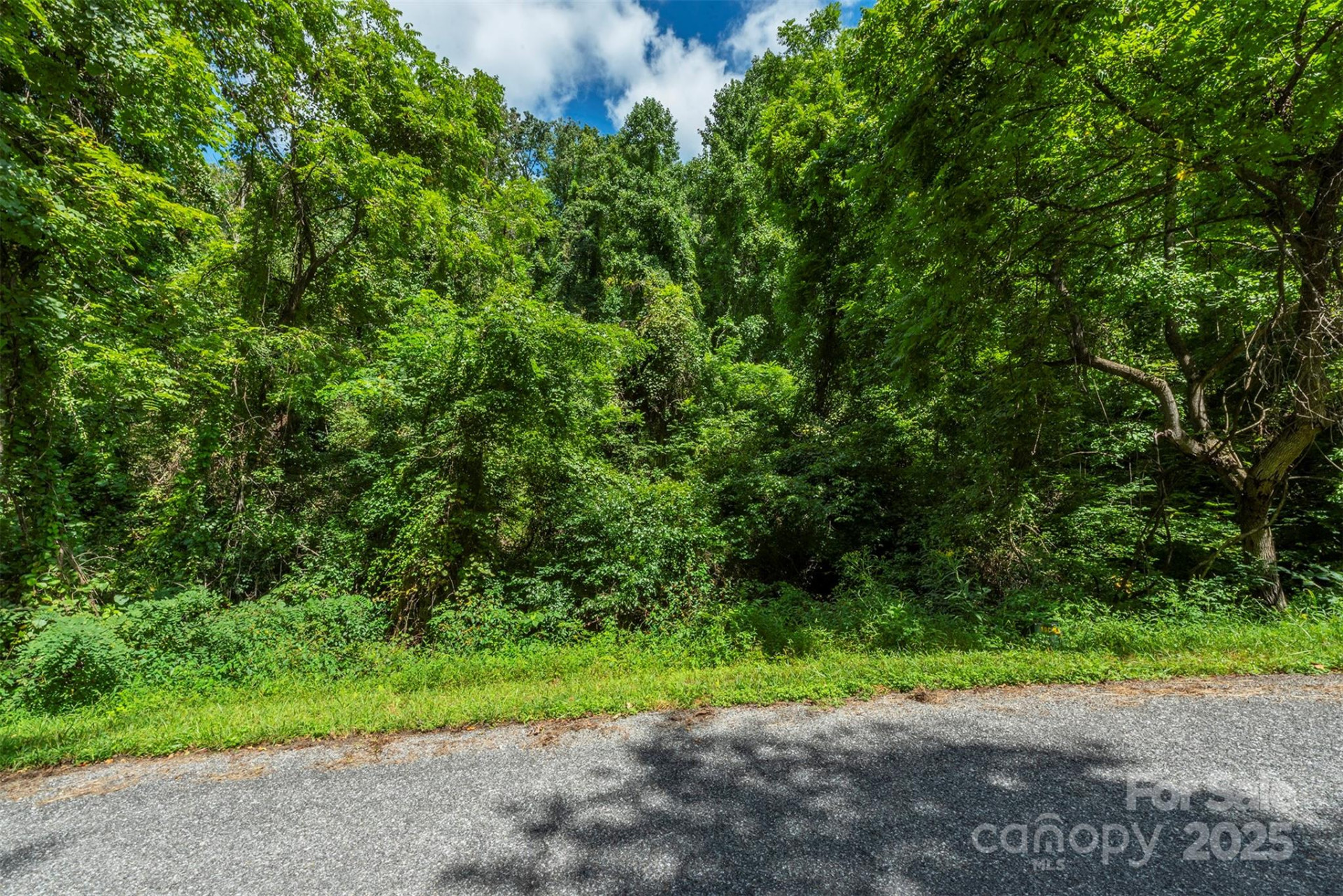 1559 Seven Glens Drive #165 - Photo 14