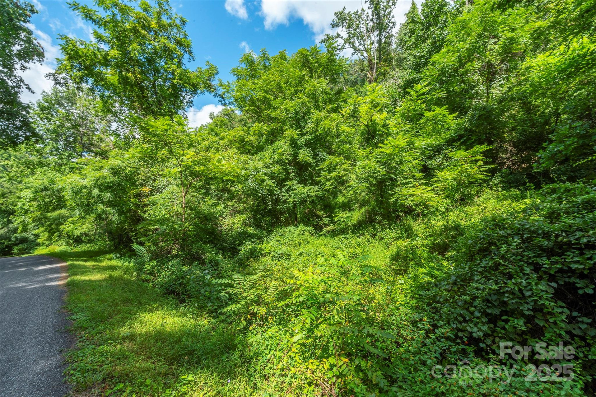 1559 Seven Glens Drive #165 - Photo 15