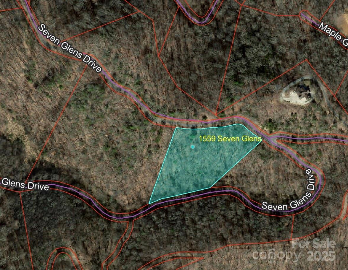 1559 Seven Glens Drive #165 - Photo 19