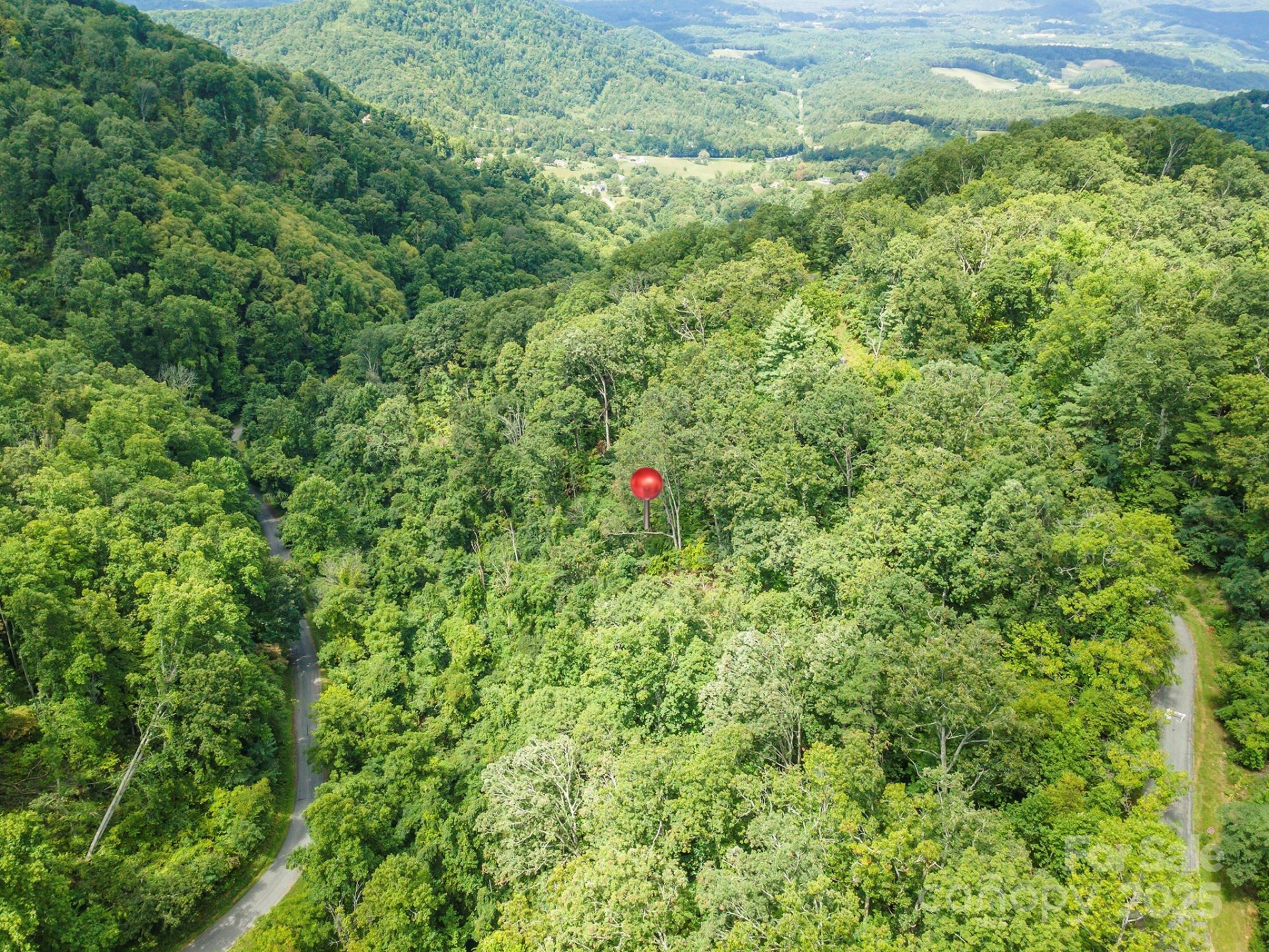 1559 Seven Glens Drive #165 - Photo 3