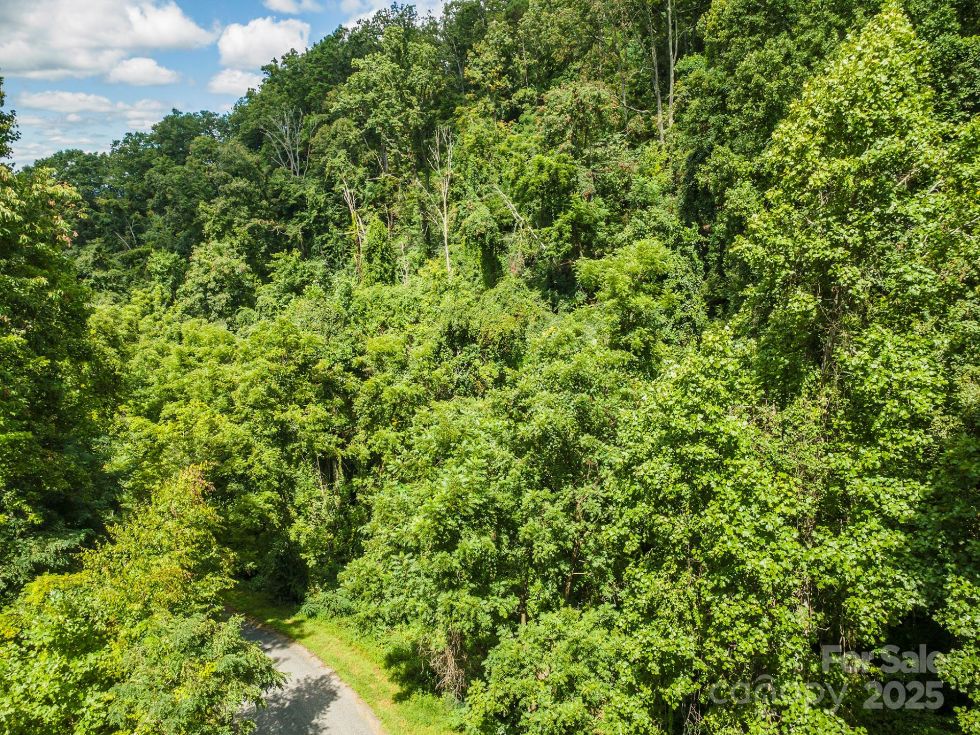 1559 Seven Glens Drive #165 - Photo 21